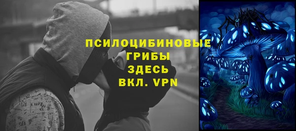 бошки Аркадак