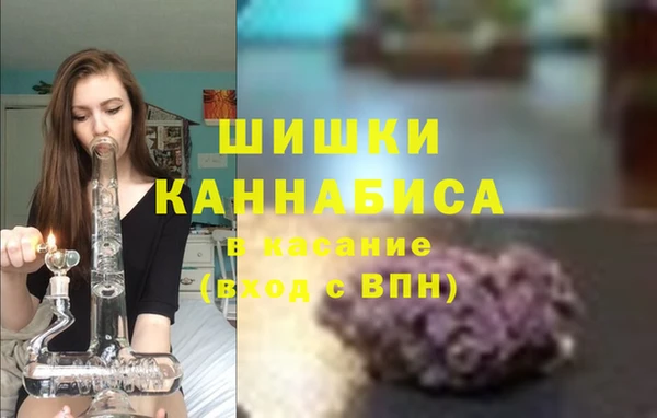 бошки Аркадак